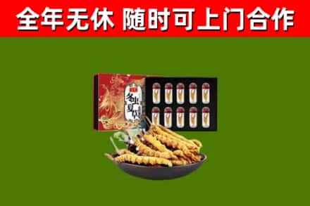 七里河回收冬虫夏草价格