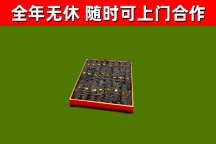 七里河回收海参